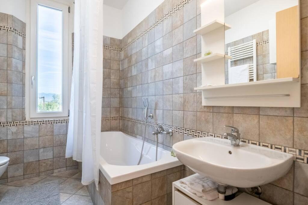 -Villa Emily- Parking, Garden & Wi-Fi Pisa Dış mekan fotoğraf